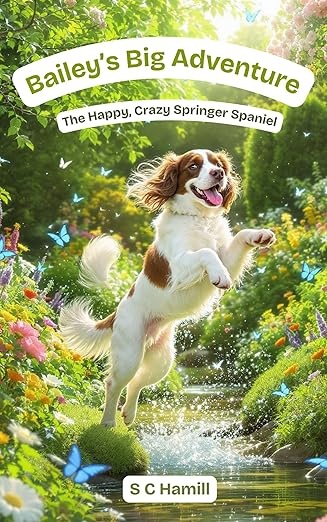 Bailey's Big Adventure. The Happy, Crazy Springer Spaniel