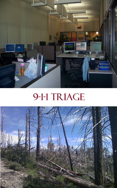 Another Chance at Life: How to Help 9-1-1 Save Futures