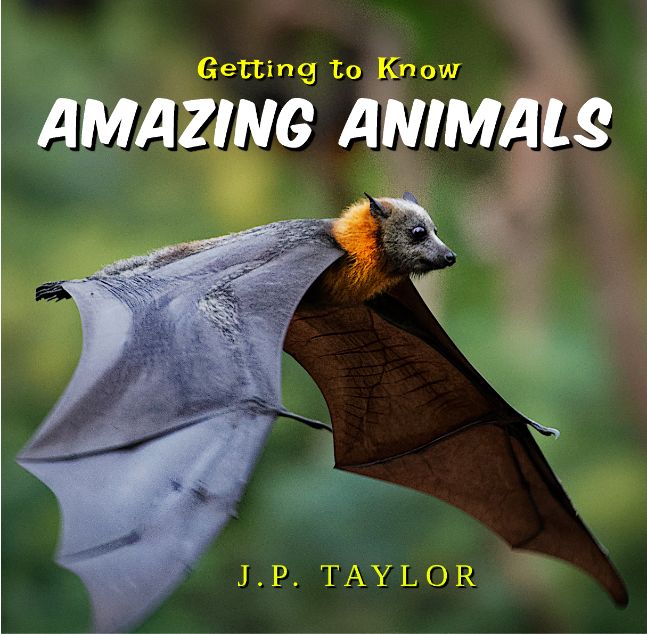 Getting to Know Amazing Animals