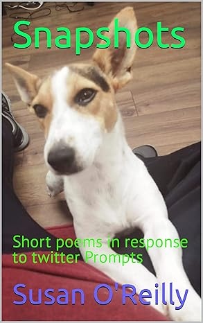 Snapshots: Short poems in response to twitter Prompts