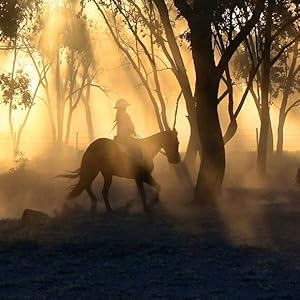 Profile image of Jesse Storm